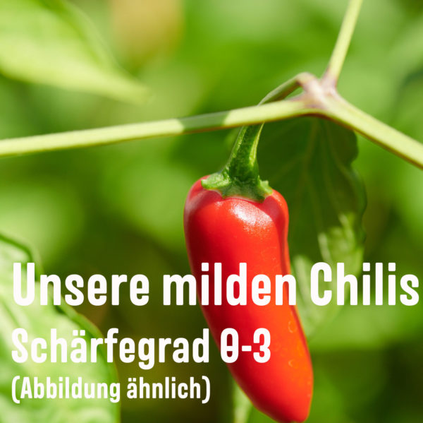 Sweet Cherry Chili